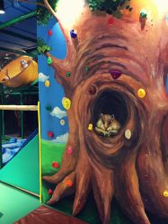 -KidSteam儿童乐园(富力城店)