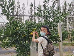 -前小桔亲子创意农场·草莓采摘·露营烧烤