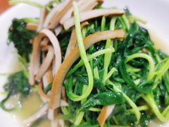 -全乐鱼馆·淳牌有机鱼直营店
