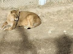 -青藏高原野生动物园
