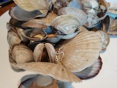 -海味当家·蒸锅海鲜(中山广场创始店)