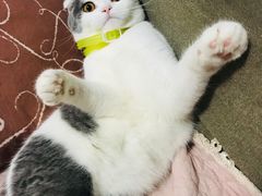 -深水井老冰粉(解放碑英利大融城店)