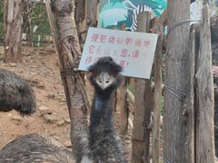 -昆明动物园
