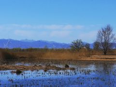 -野鸭湖国家湿地公园