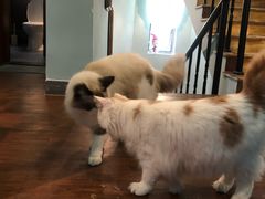 -默迹咖啡馆