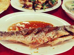 香煎马友鱼-蛇口康乐快餐鱼仔档(翠苑小区店)