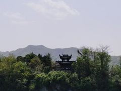 -黄牛肉馆·皖南土菜