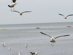 -那香海钻石沙滩浴场