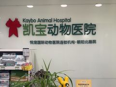 -悦宠凯宝动物医院·牙科·皮肤科(朝阳北路店)