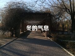 -天津水上公园