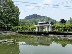 -贵州省植物园