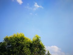 -绿堤公园