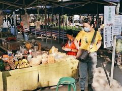 -西双版纳傣族园