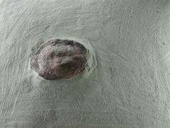 -世界恐龙谷景区