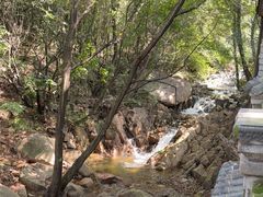 -老张烤羊(王哥庄店)