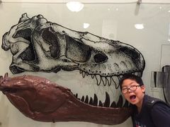 -美国自然历史博物馆