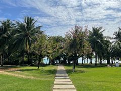 -三亚海棠湾万丽度假酒店