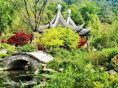 -第一山景区