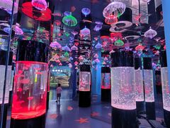 -沙沙哗啦海洋馆(华宇百花谷店)