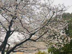 -阳澄湖费尔蒙酒店