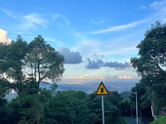 -黄埔油麻山森林公园