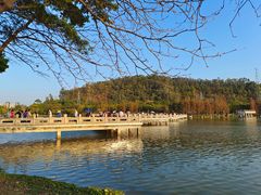 -顺峰山公园