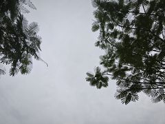 -白石龙音乐公园