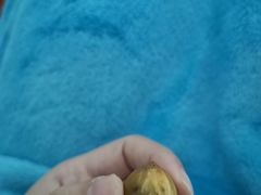 -阿男野栗王(金门路店)