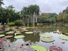 -中国科学院西双版纳热带植物园