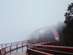 -少华山国家森林公园
