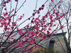 -回龙窝历史文化街区