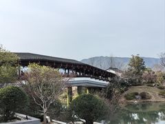 -雅达·阳羡溪山小镇中心