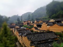 -杨家堂村