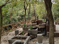 -广州白江湖森林公园