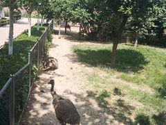 -石家庄市动物园