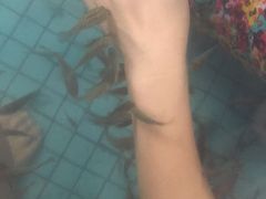 -宁波杭州湾海底温泉