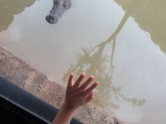 -武汉动物园
