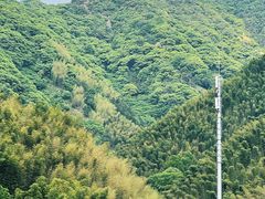 -水墨汀溪风景区