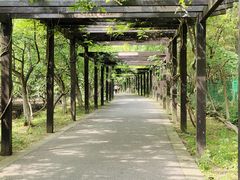 -九龙潭景区