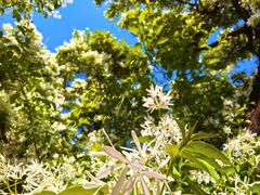 -国家植物园南园