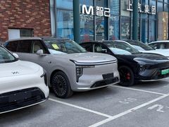 -上汽荣威体验中心(徐汇东安路店)