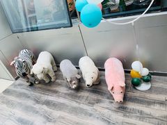 -心邸·庆宴(雅宝城店)
