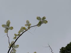 -东山湖公园