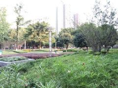 -龙头寺公园