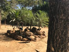 -西双版纳勐泐文化旅游区