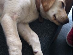 iphone_upload_pic-武夷山旧街壹号溪岸旅馆(三姑度假区店)