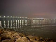 -宝安西湾红树林湿地公园