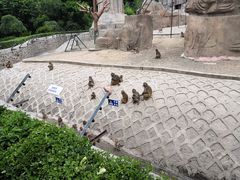-哈尔滨北方森林动物园