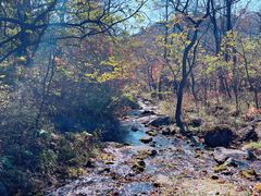 -玉渡山自然风景区