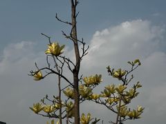 -上海交通大学(闵行校区)